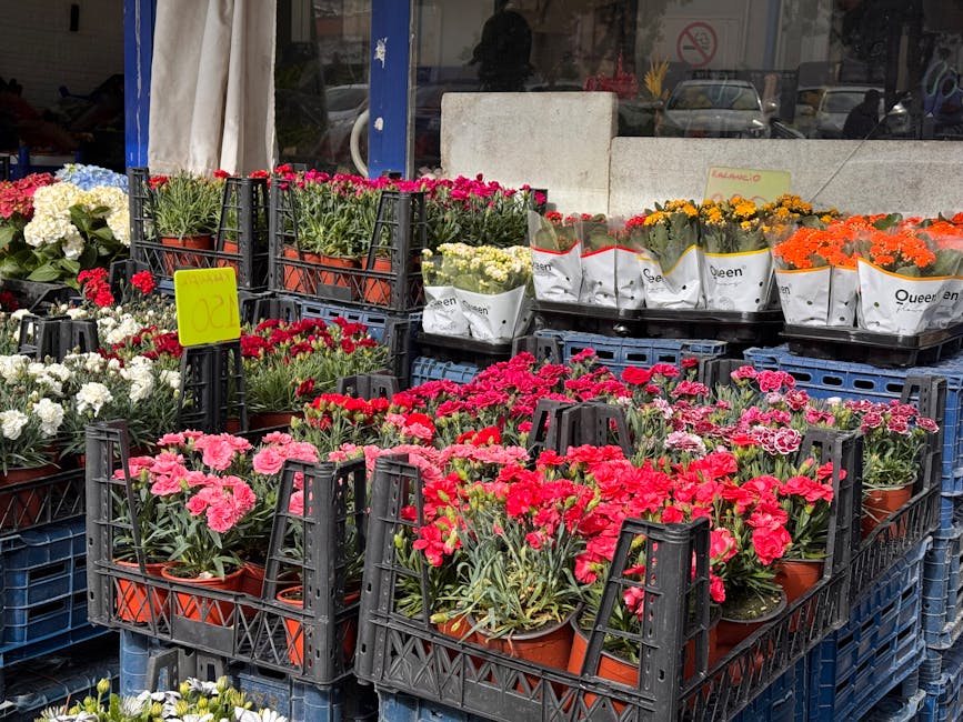 An outdoor display of vibrant flower arrangements at a florist shop, featuring rows of potted flowering plants including pink, red, white, yellow, and orange varieties. The flowers are arranged in bla